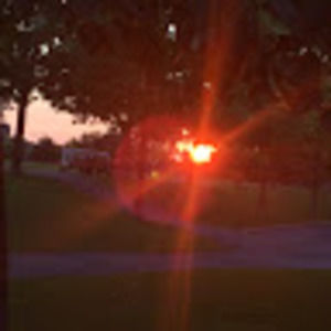 Meet your Posher, Maeva